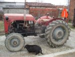 massey-ferguson-35-ks-slika-6023267.jpg