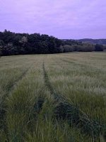 20250507_201111.jpg