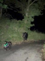 IMG_6468.jpeg