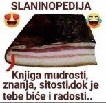 1747167820663.jpeg