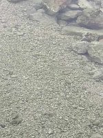 IMG_20250515_090059.jpg