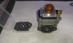 IMAG4865_1.jpg
