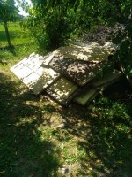 IMG_20250614_150934.jpg