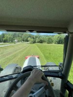 IMG_6496.jpeg