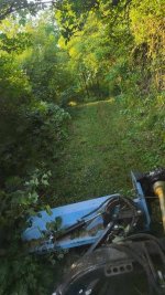 IMG_20250618_195245.jpg