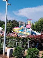 IMG_20250619_172952.jpg