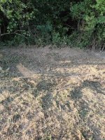 IMG_20250620_183308.jpg