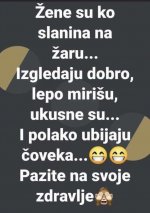 1751453735040.jpeg