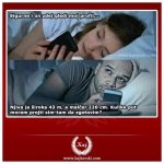 FB_IMG_1683371975718.jpg