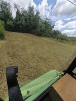IMG_20250711_120356.jpg