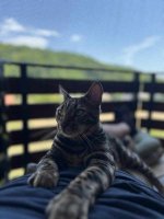 IMG_7427.jpeg
