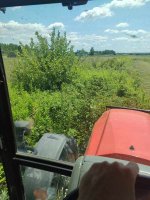 IMG_20250715_124318.jpg