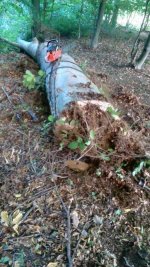 IMG_20201005_113438.jpg