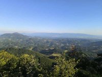 IMG_20250719_064559.jpg