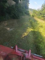 IMG_20250720_080547.jpg