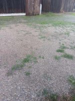 20250727_181450.jpg