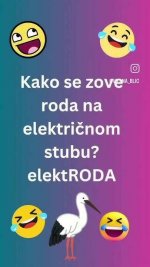 1753970234177.jpeg