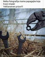 FB_IMG_1754852864772.jpg