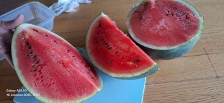 20250816_195748.jpg