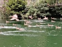 IMG_20250817_174906.jpg