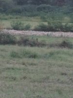 IMG_20250907_191004.jpg