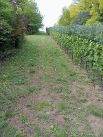 IMG_20250913_130037.jpg