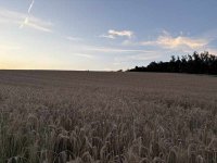 IMG_0325.jpeg