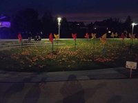 IMG_20251004_191027.jpg