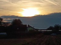 IMG_20251011_073504.jpg