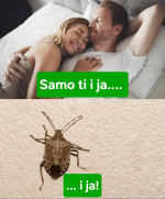 1760444181657.png