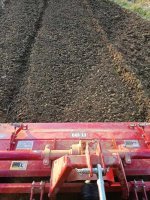 IMG_20251017_170625.jpg