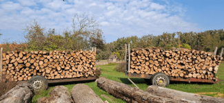 slika_2025-10-18_180359442.png