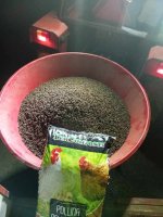 IMG_20251104_204456.jpg IMG_20251104_204456.jpg