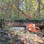 e9d0ed42-cf7a-4ab3-8113-791d157d1e92.jpeg e9d0ed42-cf7a-4ab3-8113-791d157d1e92.jpeg