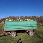 502fdb43-ee49-450f-80c8-b861ae9bac6f.jpeg 502fdb43-ee49-450f-80c8-b861ae9bac6f.jpeg