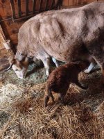 1000030118.jpg 1000030118.jpg