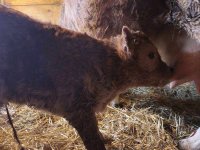 1000030119.jpg 1000030119.jpg