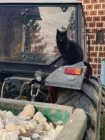 20251115_125559.jpg 20251115_125559.jpg