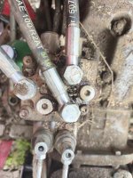 1000030129.jpg 1000030129.jpg