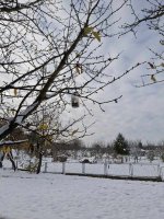 hranilica za ptice 2025.jpg