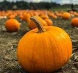 1765611857629.jpeg 1765611857629.jpeg