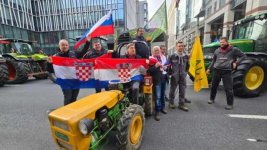 brisle-tomek na prosvjedu.jpg