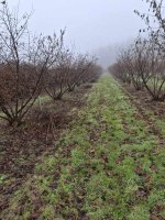 rezidba 20122025.jpg