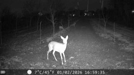 1000056034.jpg 1000056034.jpg