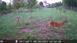 1000044163.jpg 1000044163.jpg