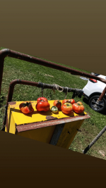 Screenshot 2026-01-30 at 22-34-33 1000018519.jpg (WEBP Image 1440 × 2560 pixels) — Scaled (35_).png