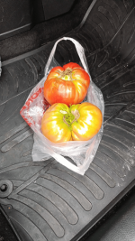 Screenshot 2026-01-30 at 22-35-01 1000018035.jpg (WEBP Image 1440 × 2560 pixels) — Scaled (35_).png