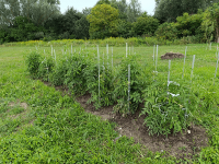 Screenshot 2026-01-30 at 22-35-25 1000018025.jpg (JPEG Image 4080 × 3072 pixels) — Scaled (29_).png