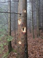 623665602_4435875263310903_6069101788886778874_n.jpg 623665602_4435875263310903_6069101788886778874_n.jpg