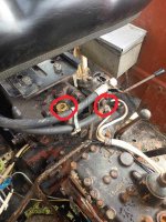 1000011733.jpg 1000011733.jpg